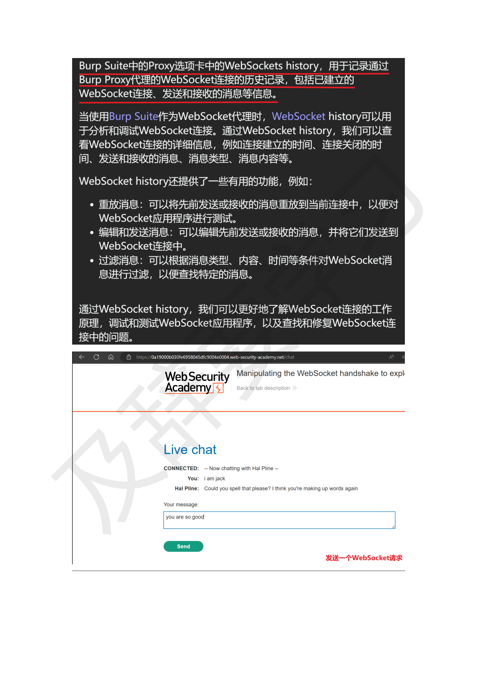 渗透工具使用_28